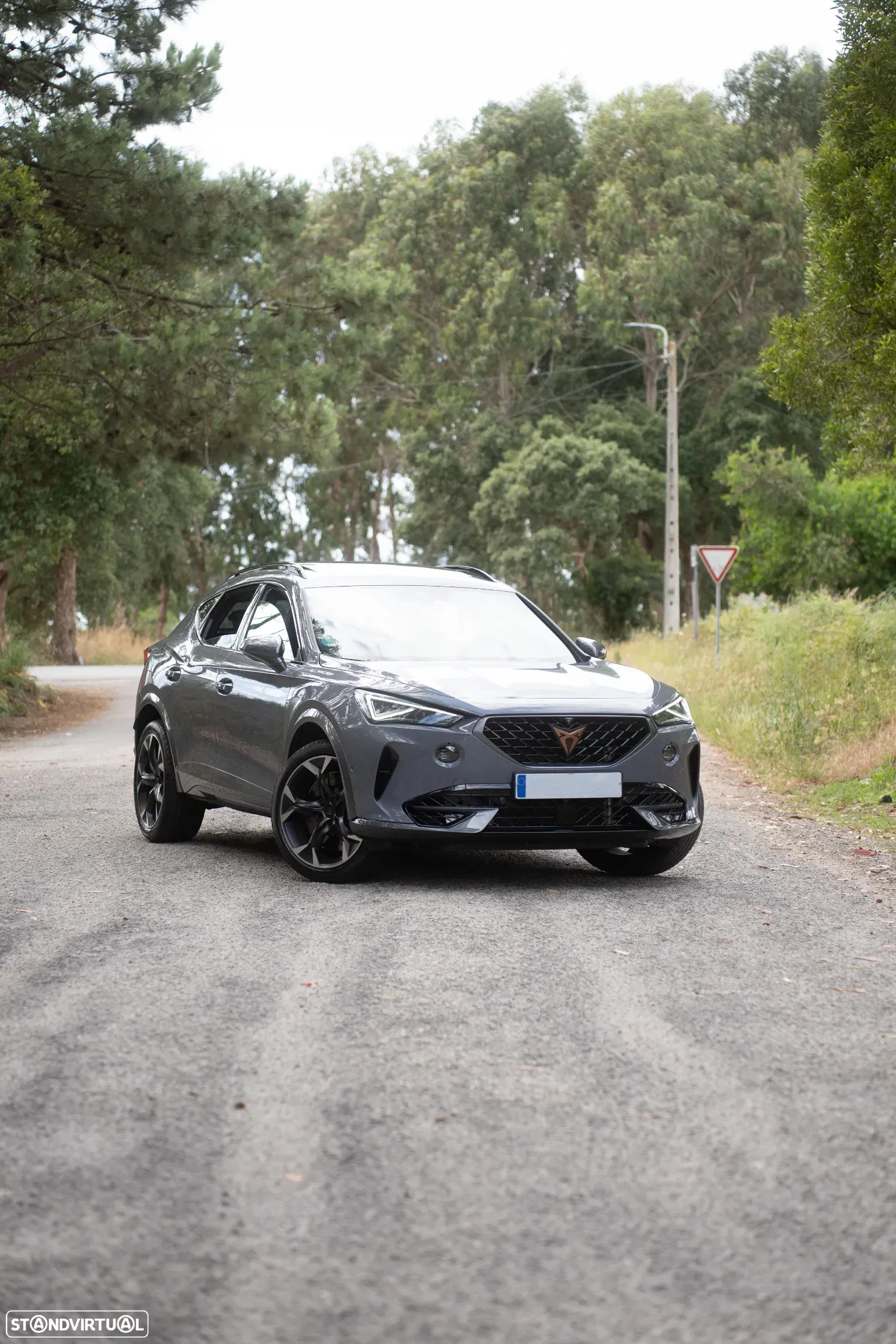 Cupra Formentor 2.0 TSI DSG 4Drive VZ