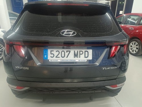 Foto 9